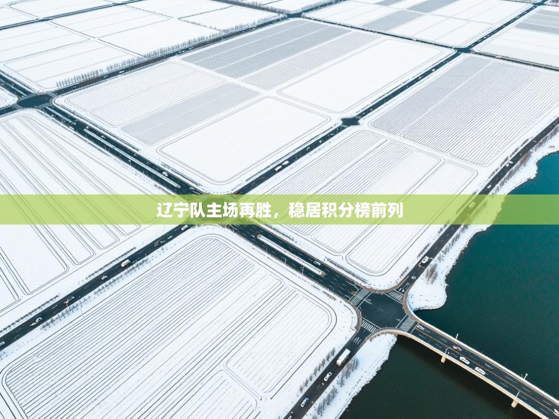 辽宁队主场再胜，稳居积分榜前列  第2张