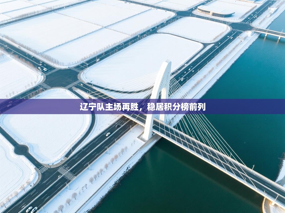 辽宁队主场再胜，稳居积分榜前列  第1张