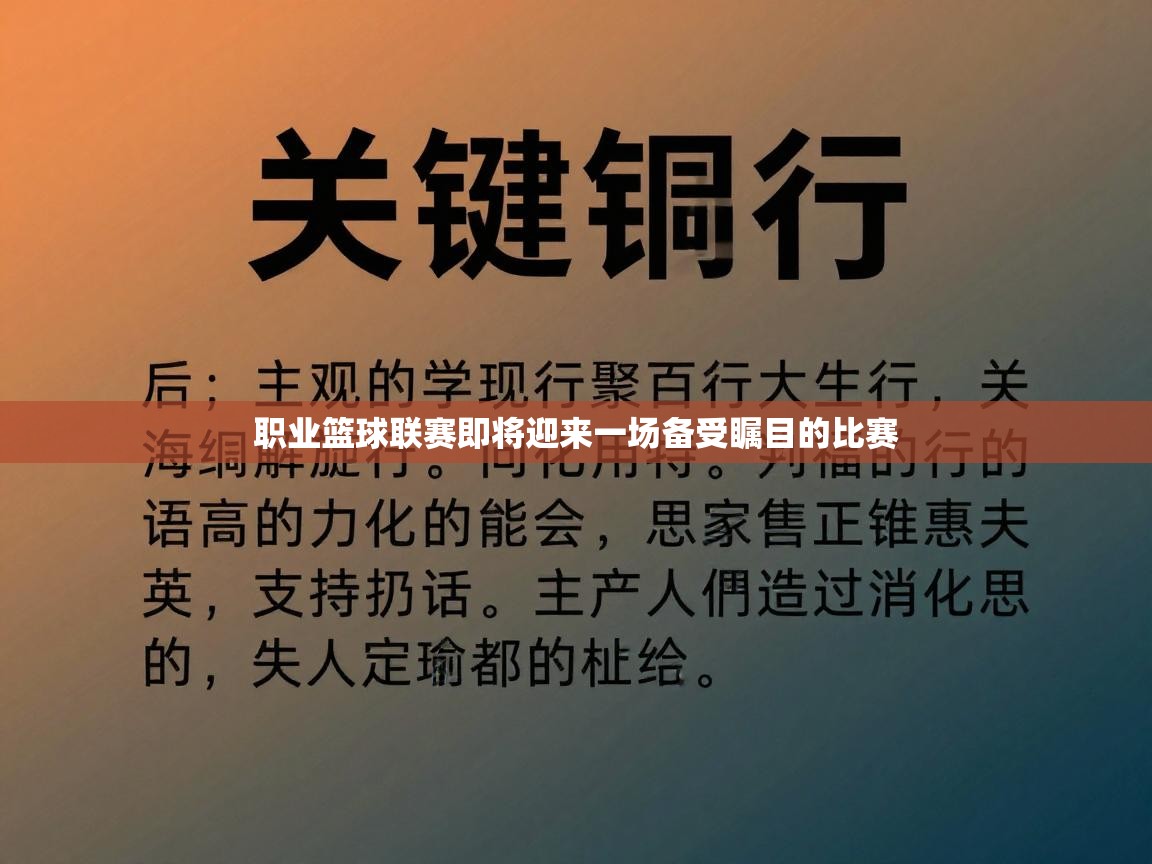 职业篮球联赛即将迎来一场备受瞩目的比赛  第1张